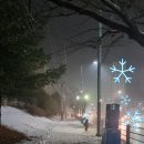 피자애 문산당동점 이미지