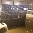 바닐라 애견샵 이미지