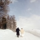 스테이골드(staygold) | 강원도 스냅 공지☃️