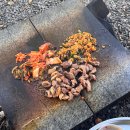 동명농장2 | 직접 구워주는 오리의 맛, 칠곡 동명 주말농장식당 후기