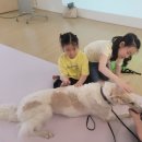 더 사랑스럽개 이미지