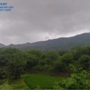 장락천 네이버블로그