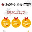 365동판교동물병원 이미지