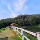 꽁뚜식당 이미지