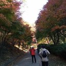 하늘마루 주변 이미지