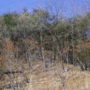 (주)소명부동산중개법인 이미지