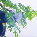 유림기획스포츠 이미지