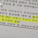 유림-13 이미지
