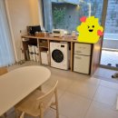 제주애단비 마주 이미지