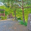 백담독채 물가에펜션 이미지