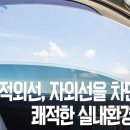 에이펙스라인 이미지