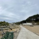 11545-02-36-40 | 대구글램핑장 추천, 팔공산 뷰 감성 숙소 트리풀글램핑장 리얼후기