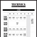 테크니카주짓수