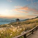 우주메리미 이미지