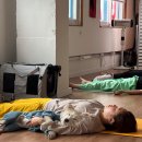 테라피요가 A 이미지