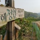 암농장 티스토리