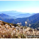 예솔이네집 이미지