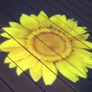 설악스카이 이미지