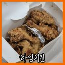 NR-46[순환대로]-하-46 | 화성 2동탄 홀이 넓고 자리가 많은 치킨집 포장 후기 [하임치킨]