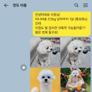 그루밍051 이미지