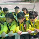 💙연화2반💙신우목장으로 출발🐮🚌(아이스크림,치즈를 만들어요)-1탄 이미지