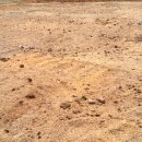 고성농장 이미지