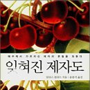 영성개발 이미지