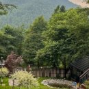 오이코스테이 이미지