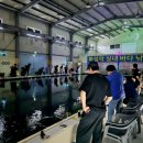 화성락실내바다낚시터 이미지