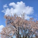 자일낚시터 이미지