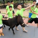 상영목장 이미지