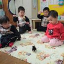 작은동물원 이미지