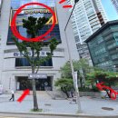 모모의원 이미지