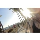 Hawaii PT 이미지