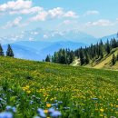 중국어 중급A 이미지