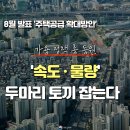 8월 발표예정 '주택공급 확대방안'···가용정책 총동원 '속도+물량' 두마리 토끼 잡는다(2024.7.26./국토부) 이미지