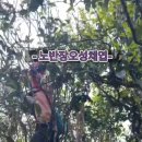 정비반장 이미지