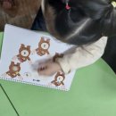 라온캐슬 이미지