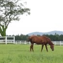 위드목장 이미지