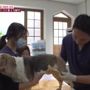 선한우리병원
