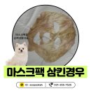 숲속동물병원 | 강아지 이물 섭취, 마스크팩 먹었어요 l 화성 새솔 숲속동물병원 실제 진료 케이스