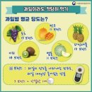 과일산타