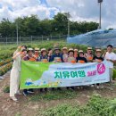 동구 치매안심센터 이미지