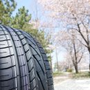 더타이어샵 고잔점 이미지