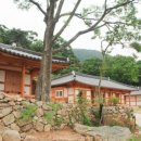 달마루 네이버블로그