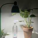 용수가든 이미지