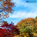 연호요양병원 이미지