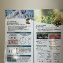 HK남성컷트