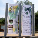 문학세탁소 이미지