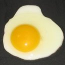 2015/11/29 - 오늘의 회화 ( One sunny-side up and one hardboiled, please) 이미지